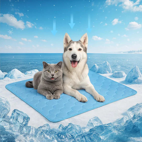 Shop the Chillpup 2.0!